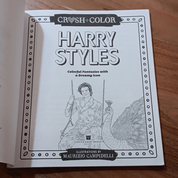 NEW HARRY STYLES Colouring Book - Picture 5 of 5
